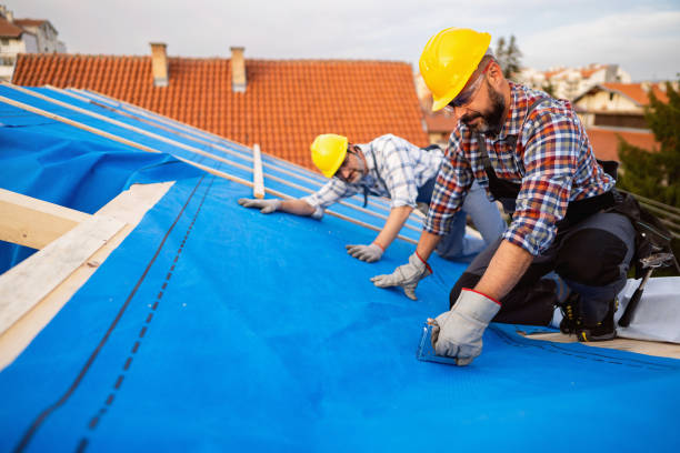 Best Roof Ventilation Installation  in Country Clu, CA