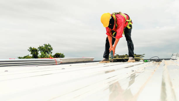 Best Roof Maintenance and Cleaning  in Country Clu, CA